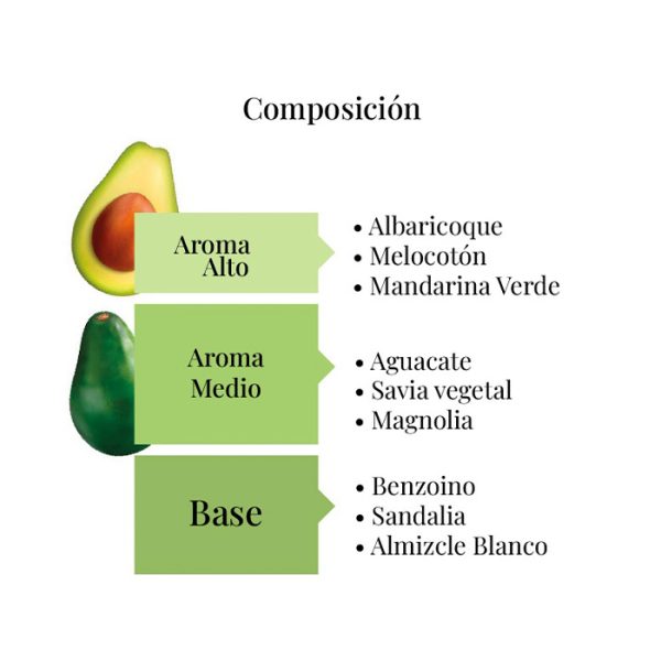 Mario Fissi Avocado 3