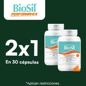Productos de BioSil